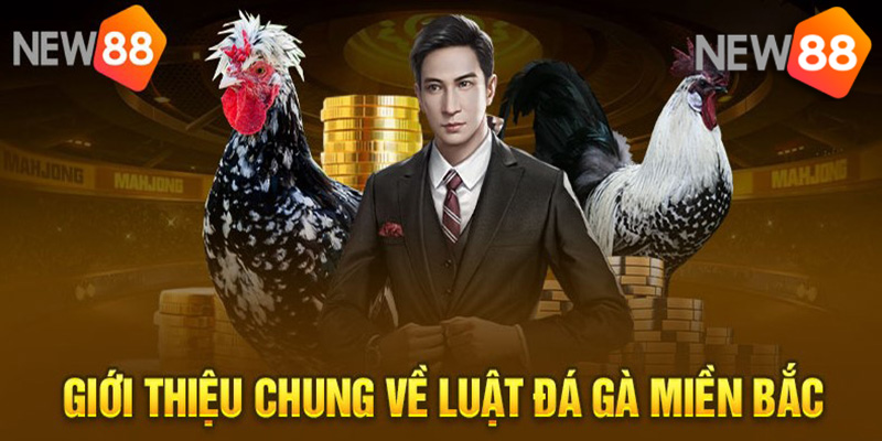 Những điều cần biết khi tham gia Game Bài Đổi Thưởng New88